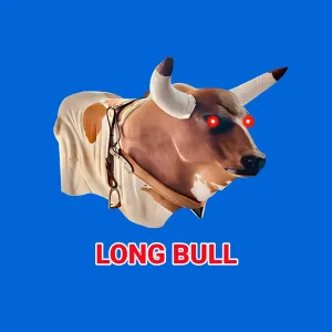 LONG BULL