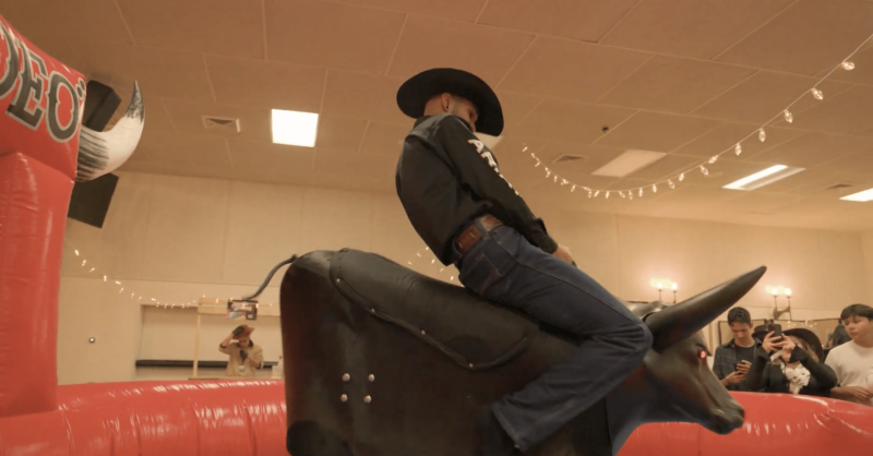 buy mechanical bull